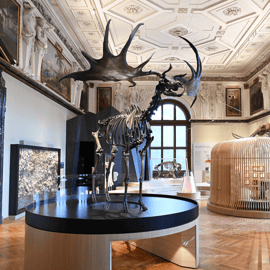 Vienne : billet pour le musée d'histoire naturelle de Vienne