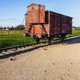 Vienne : Visite d'Auschwitz Birkenau