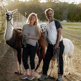Mödling/Vienne : randonnée panoramique guidée avec des alpagas et des lamas