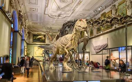 Vienne : billet pour le musée d'histoire naturelle de Vienne