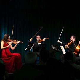 Vienne : concert des maîtres classiques à la Haus der Musik