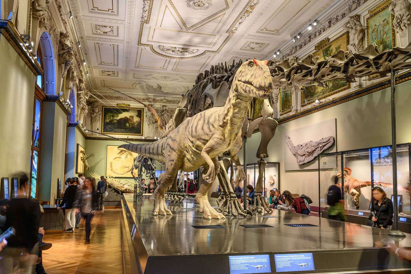 Vienne : billet pour le musée d'histoire naturelle de Vienne
