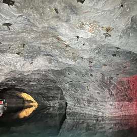 Vienne : Visite de la forêt viennoise avec lac souterrain et vin