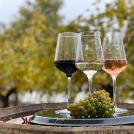 Vienne : Dégustation de vins au château de Schönbrunn