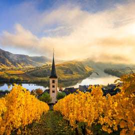 Depuis Vienne : excursion d'une journée dans la vallée de la Wachau avec dégustation de vin