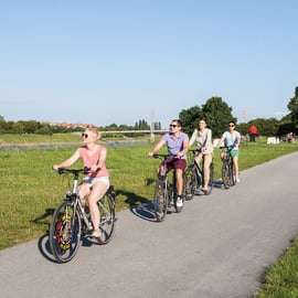 Vienne : Dégustation de vin en E-Bike