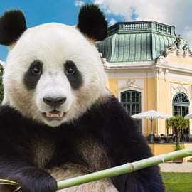 Vienne : billets coupe-file pour le zoo de Schönbrunn
