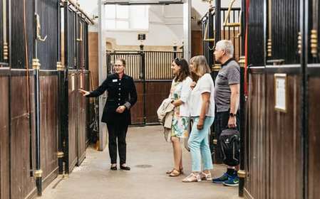 Visite guidée de l'école d'équitation espagnole de Vienne