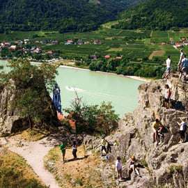 La vigne en pâture : Excursion à vélo dans les vignobles de la vallée de la Wachau