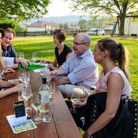 Au départ de Vienne : visite d'une demi-journée à la campagne avec repas