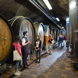 Vienne : Dégustation de vin en E-Bike