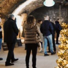Vienne : visite guidée ou libre de la cave à vin Schlumberger
