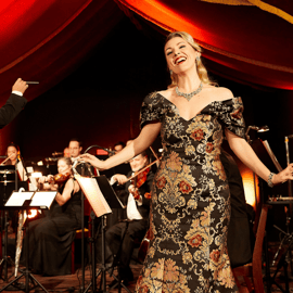 Vienne : Dîner-spectacle Johann Strauss au Prater