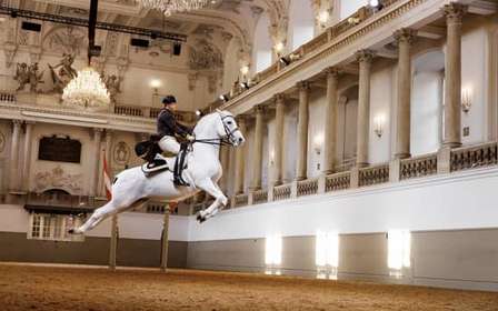 Spectacle de lipizzans à l'École espagnole d'équitation