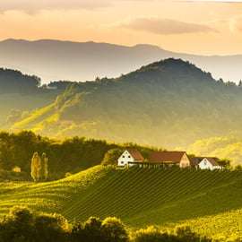 Depuis Vienne : excursion d'une journée dans la vallée de la Wachau avec dégustation de vin