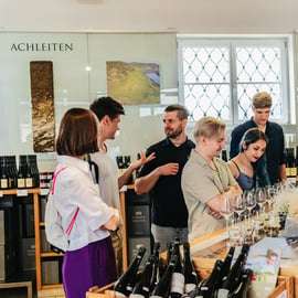 Au départ de Vienne : Excursion d'une journée dans la vallée de la Wachau avec dégustation de vins