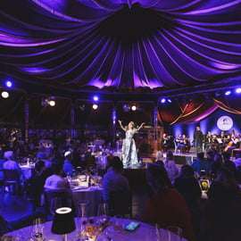Vienne : Dîner-spectacle Johann Strauss au Prater
