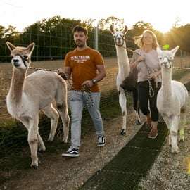 Mödling/Vienne : randonnée panoramique guidée avec des alpagas et des lamas