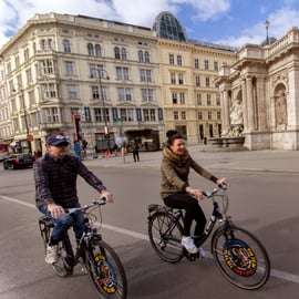 Vienne classique : visite guidée à vélo de 3 heures