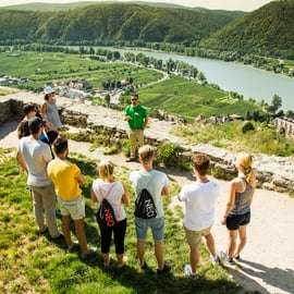 La vigne en pâture : Excursion à vélo dans les vignobles de la vallée de la Wachau