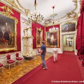 Vienne : Palais de Schönbrunn et train panoramique, accès prioritaire