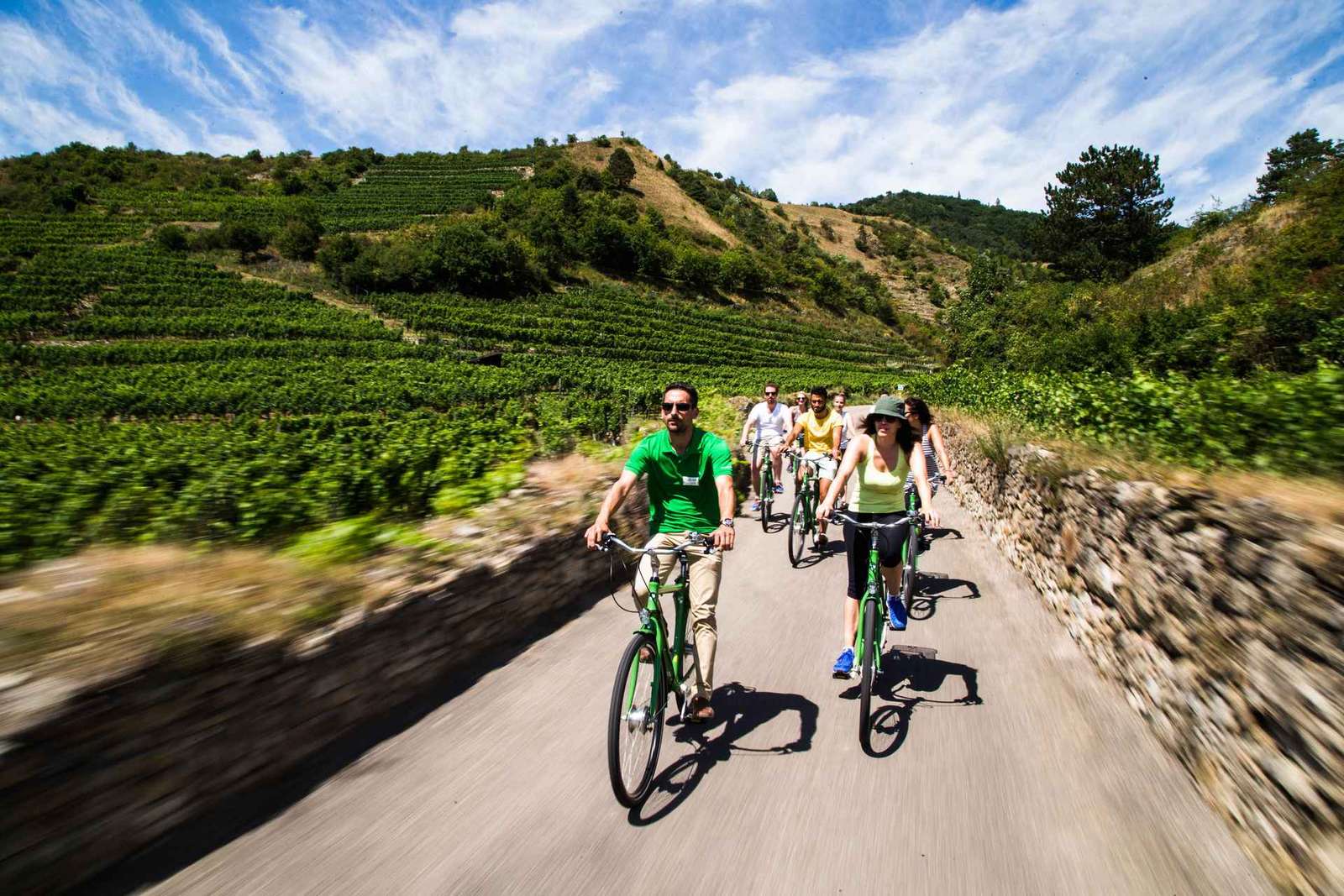 La vigne en pâture : Excursion à vélo dans les vignobles de la vallée de la Wachau