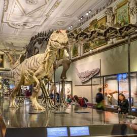 Vienne : billet pour le musée d'histoire naturelle de Vienne