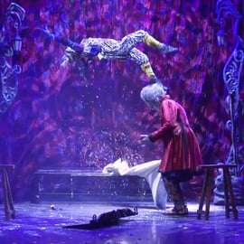 Magic World ● Spectacle de magie varié
