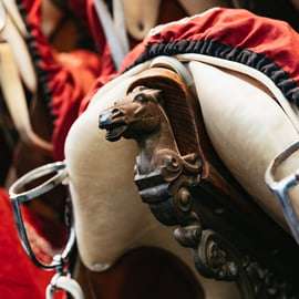 Visite guidée de l'école d'équitation espagnole de Vienne