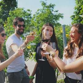 Vienne : Dégustation de vins au château de Schönbrunn