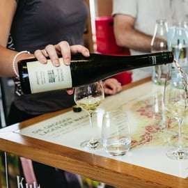 Au départ de Vienne : Excursion d'une journée dans la vallée de la Wachau avec dégustation de vins