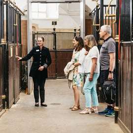 Visite guidée de l'école d'équitation espagnole de Vienne