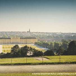 Vienne : Palais de Schönbrunn et train panoramique, accès prioritaire