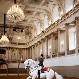 Spectacle de lipizzans à l'École espagnole d'équitation