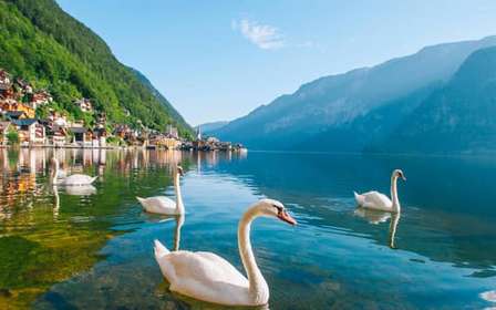 Vienne : Melk, Hallstatt, Salzbourg - Circuit des montagnes et des lacs
