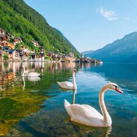 Vienne : Melk, Hallstatt, Salzbourg - Circuit des montagnes et des lacs
