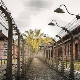Vienne : Visite d'Auschwitz Birkenau