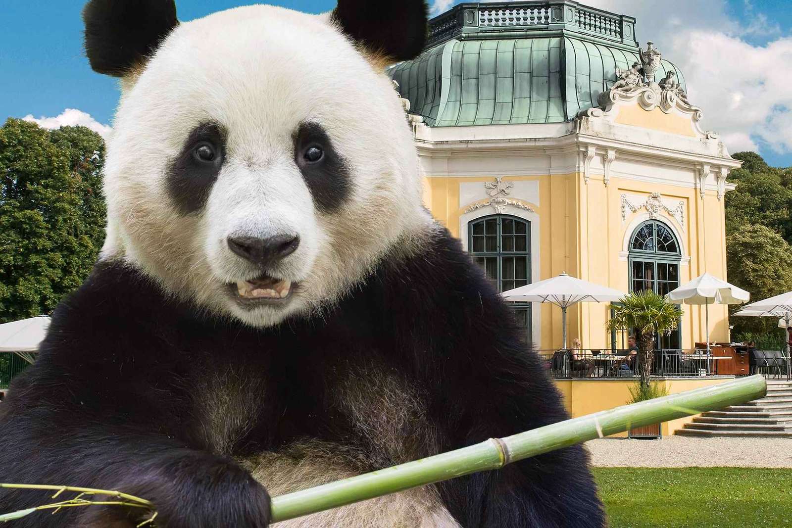 Vienne : billets coupe-file pour le zoo de Schönbrunn