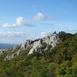 Au départ de Vienne : visite guidée d'une demi-journée à Bratislava et dans la campagne