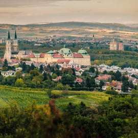 Klosterneuburg : Billet pour l'abbaye de Klosterneuburg