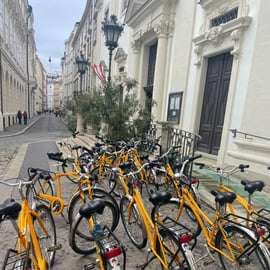 Vienne : Visite guidée à vélo des principales attractions de la ville