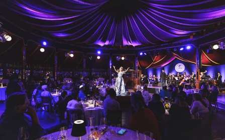 Vienne : Dîner-spectacle Johann Strauss au Prater