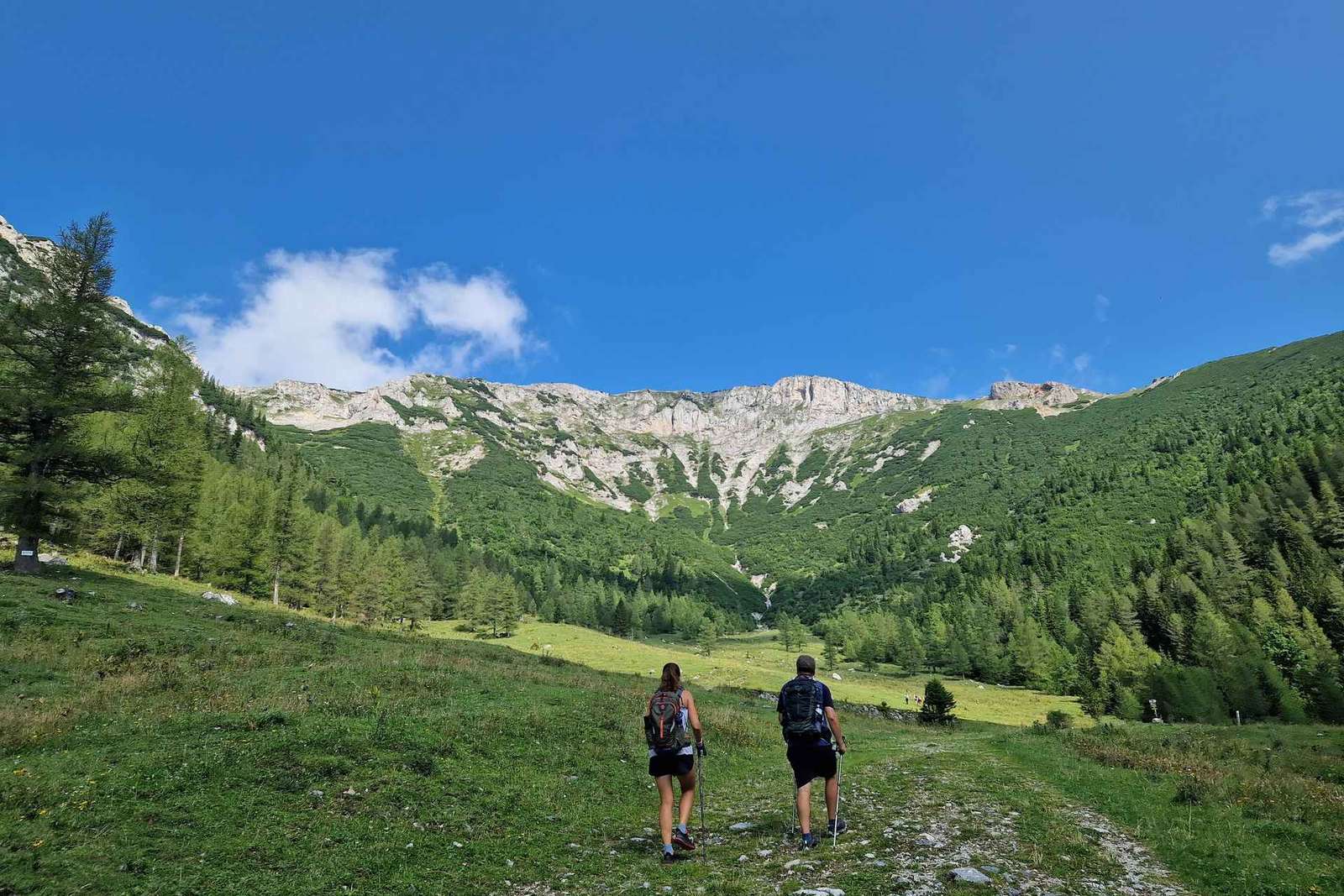 Vienne : randonnée guidée dans les montagnes du Rax avec transfert