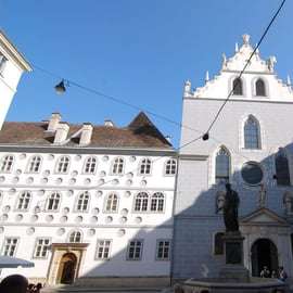 Vienne : Visite à pied des cours et des lieux cachés