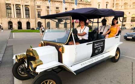 Vienne : Visite touristique en voiture électrique privée