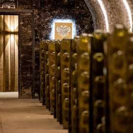 Vienne : visite guidée ou libre de la cave à vin Schlumberger