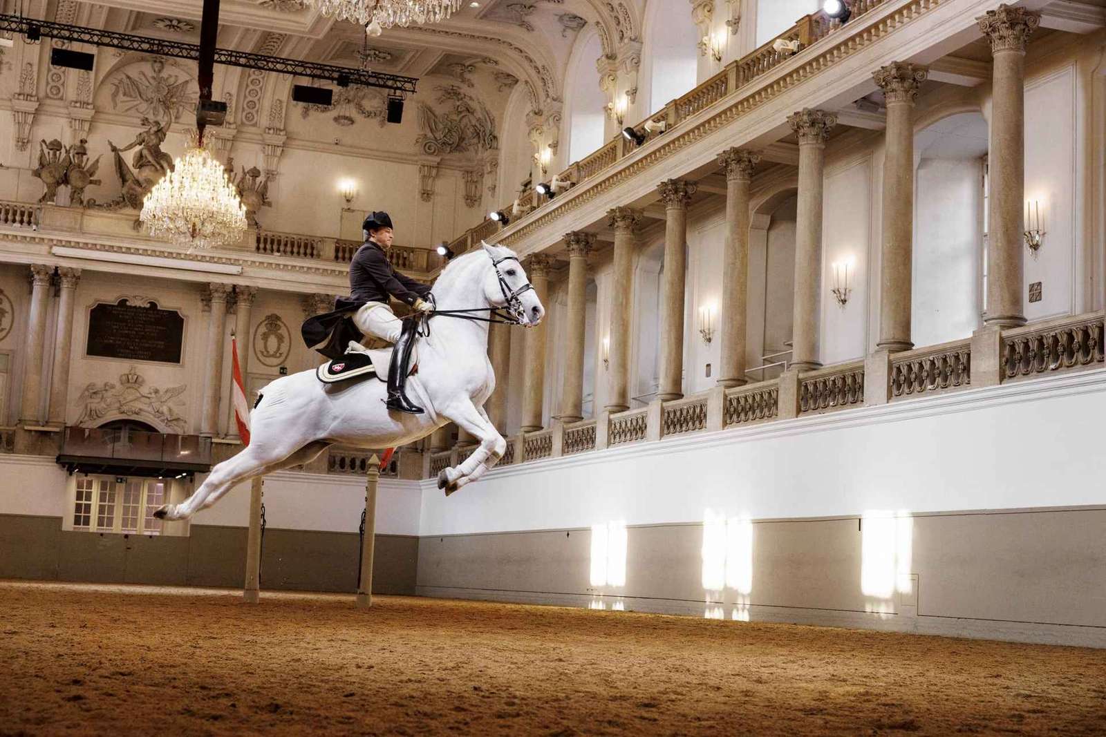 Spectacle de lipizzans à l'École espagnole d'équitation