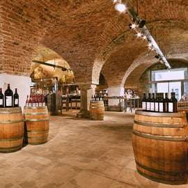 Vienne : Dégustation de vin en E-Bike