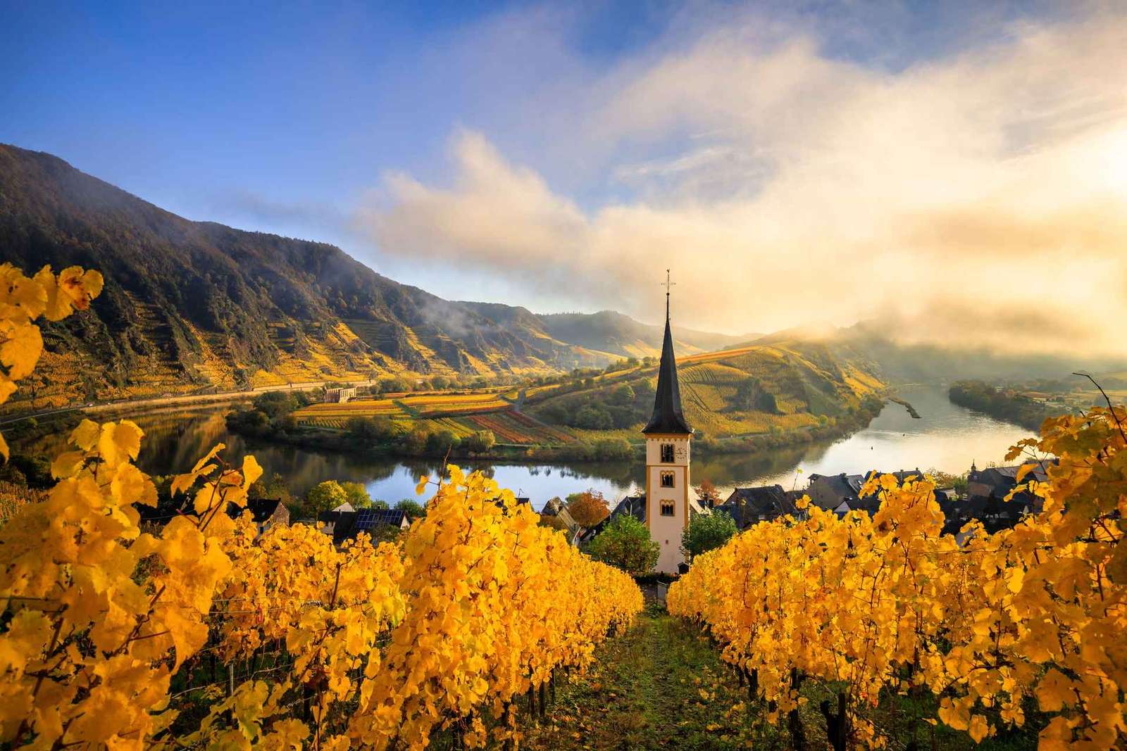 Depuis Vienne : excursion d'une journée dans la vallée de la Wachau avec dégustation de vin