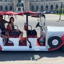 Vienne : visite touristique en voiture classique 90 min E/T